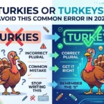 Turkies or Turkeys