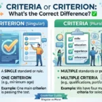 Criteria or Criterion