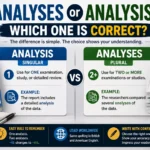 Analyses or Analysis: Which One Is Correct?