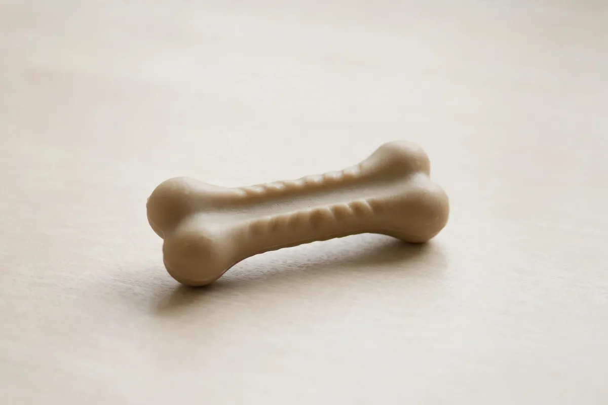 Bitting or Biting: Explained With Examples (2026) - Photo 2