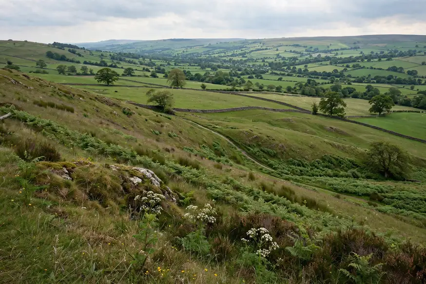 Emphasise or Emphasize: UK Guide - Photo 2