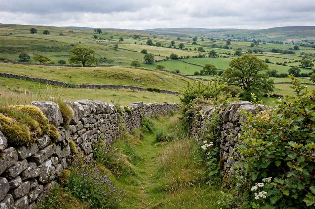 Emphasise or Emphasize: UK Guide - Photo 1